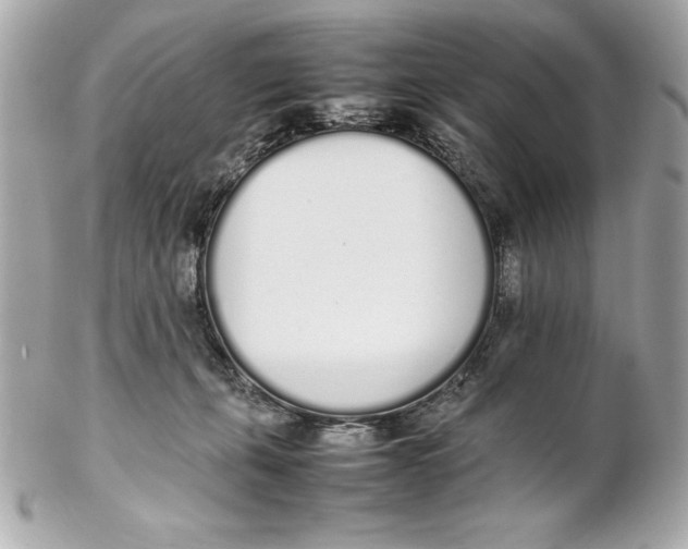 X0000102260271200808151848