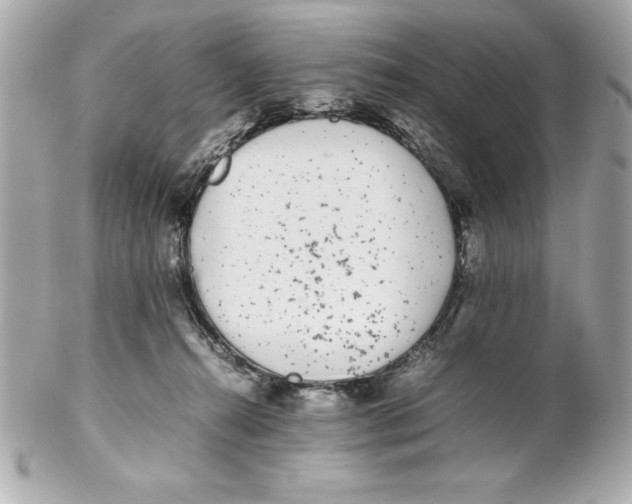 X0000102260272200808151848