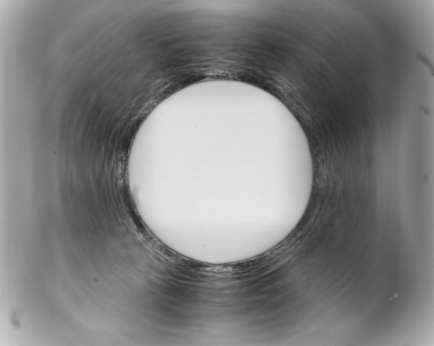 X0000102260273200808151848