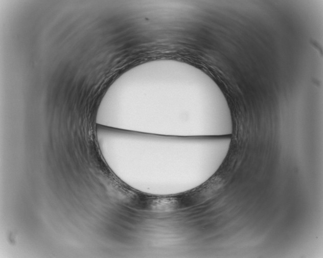 X0000102260274200808151848