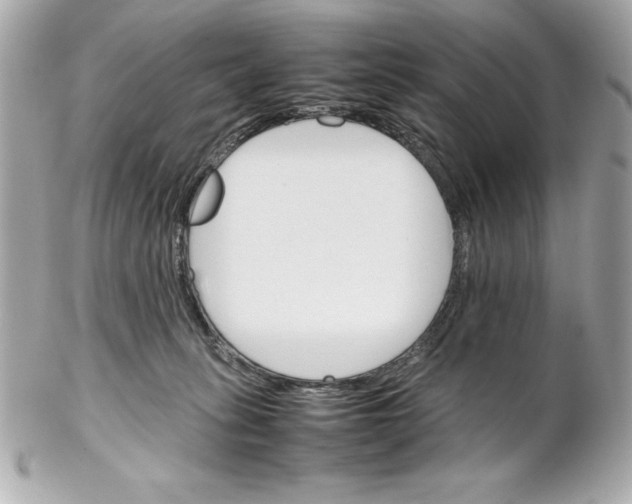 X0000102260275200808151848