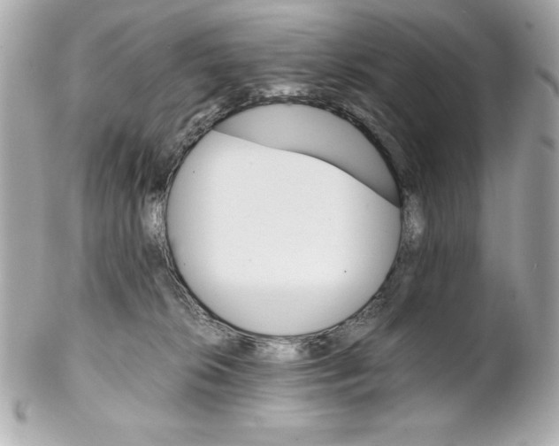 X0000102260276200808151848