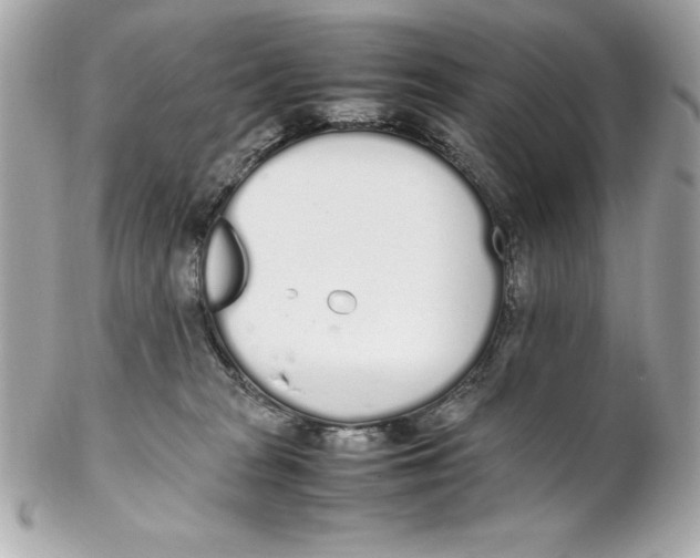 X0000102260277200808151848