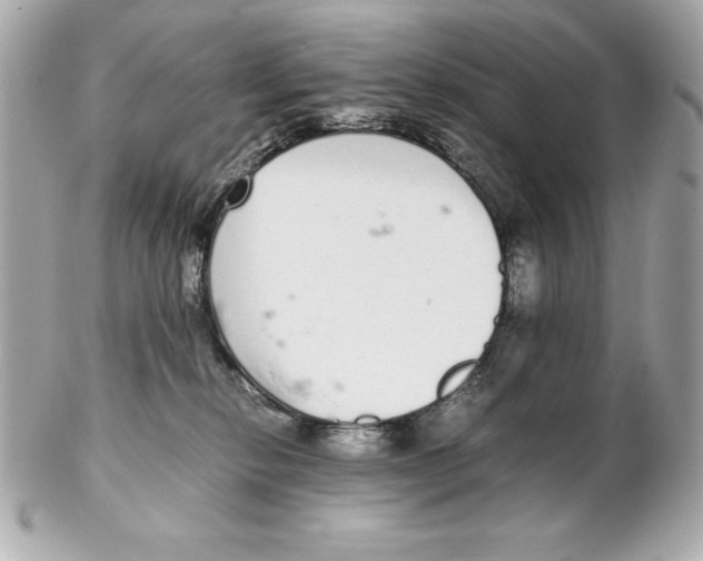 X0000102260278200808151848