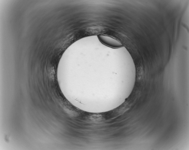 X0000102260279200808151848