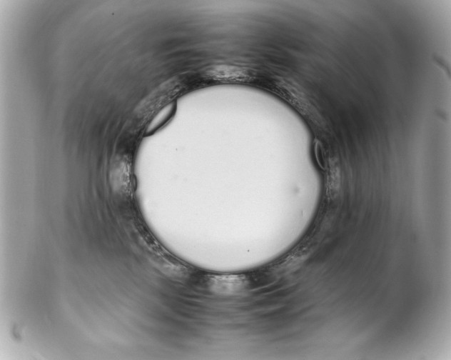 X0000102260281200808151848