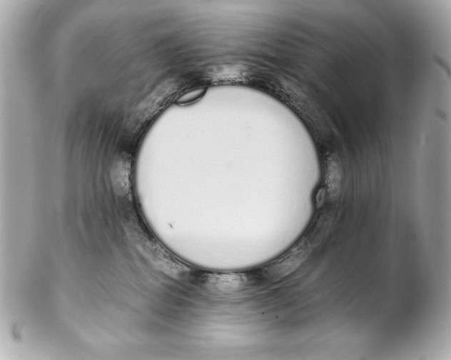 X0000102260282200808151848