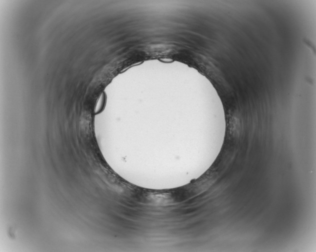 X0000102260283200808151848