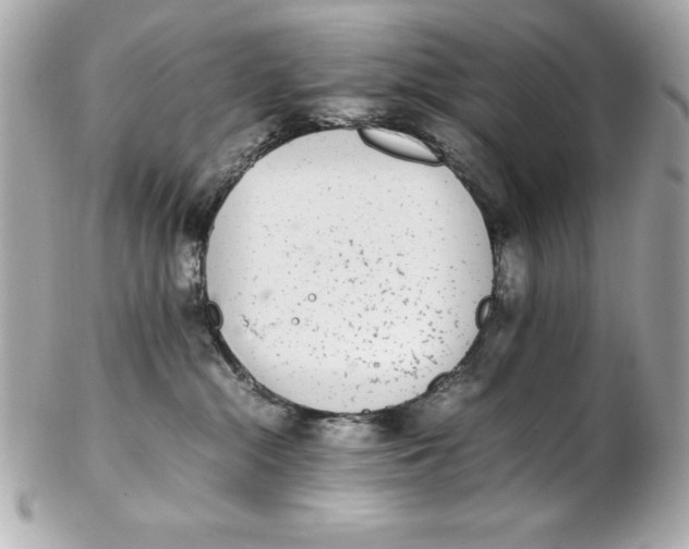 X0000102260284200808151848