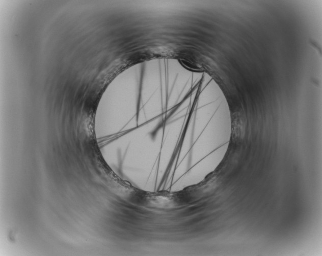X0000102260285200808151848