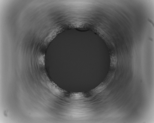 X0000102260286200808151848