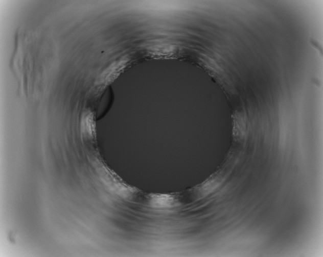 X0000102260287200808151848