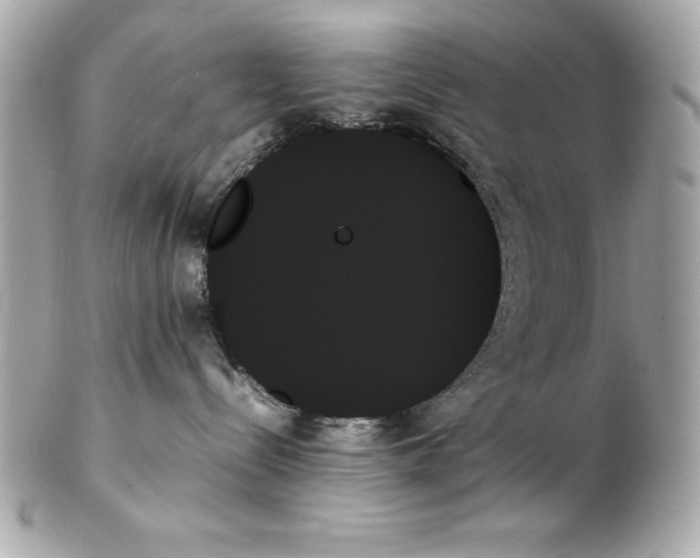 X0000102260288200808151848