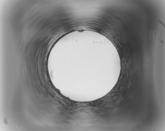 X0000102260289200808151847