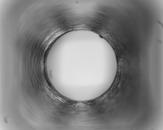 X0000102260290200808151847