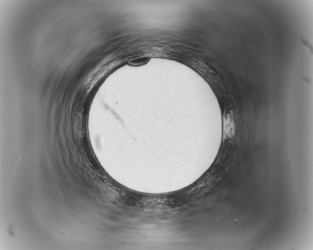 X0000102260291200808151847