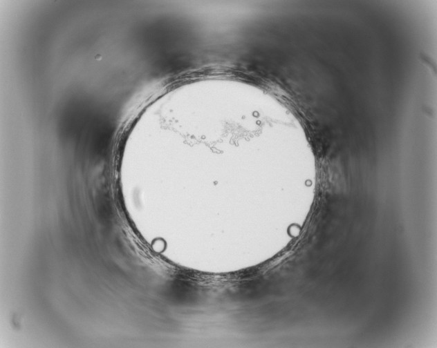 X0000102260293200808151847