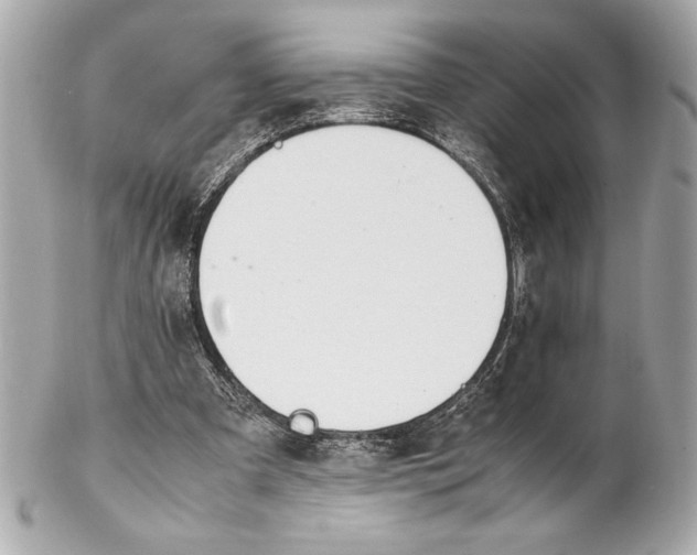 X0000102260297200808151847