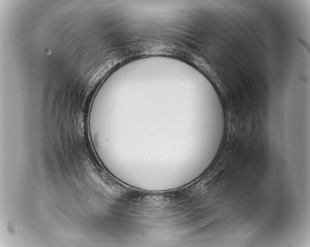X0000102260298200808151847