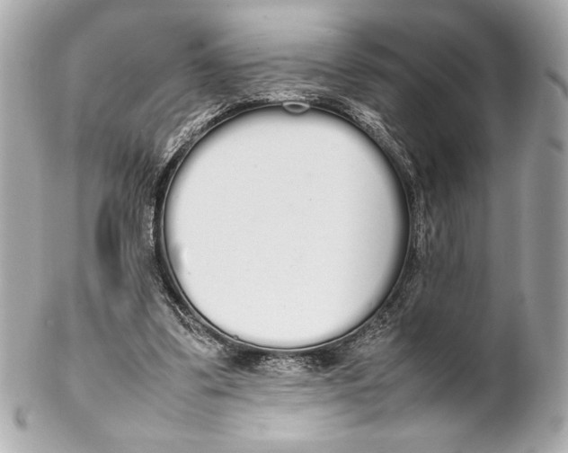 X0000102260299200808151847