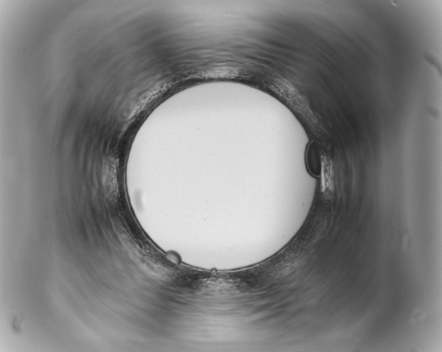 X0000102260300200808151847