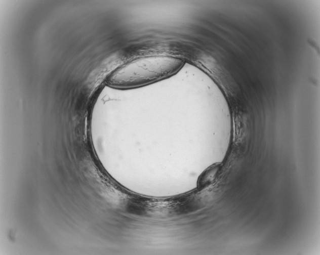 X0000102260301200808151847
