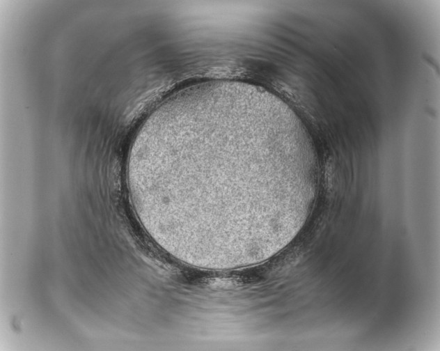 X0000102260303200808151847