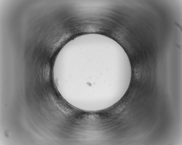 X0000102260304200808151847