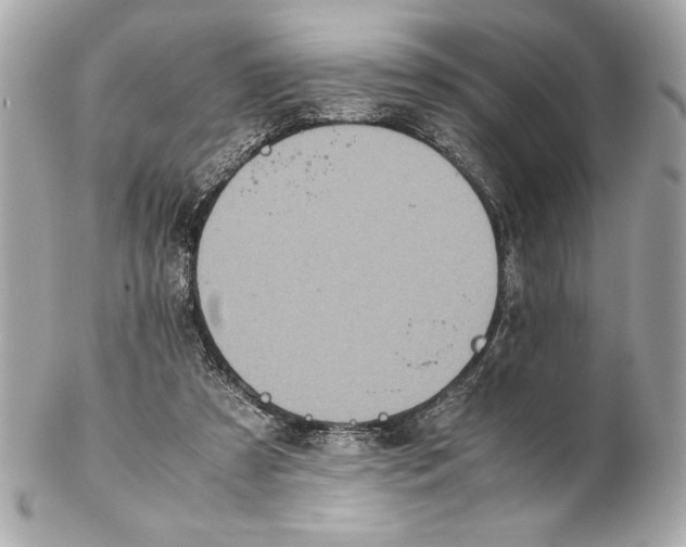 X0000102260305200808151847