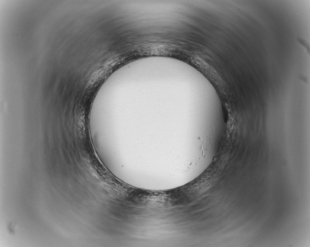 X0000102260306200808151847