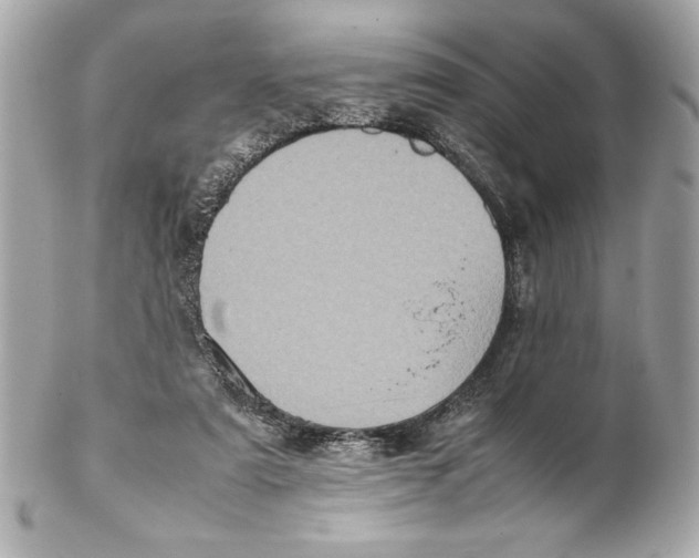 X0000102260307200808151847