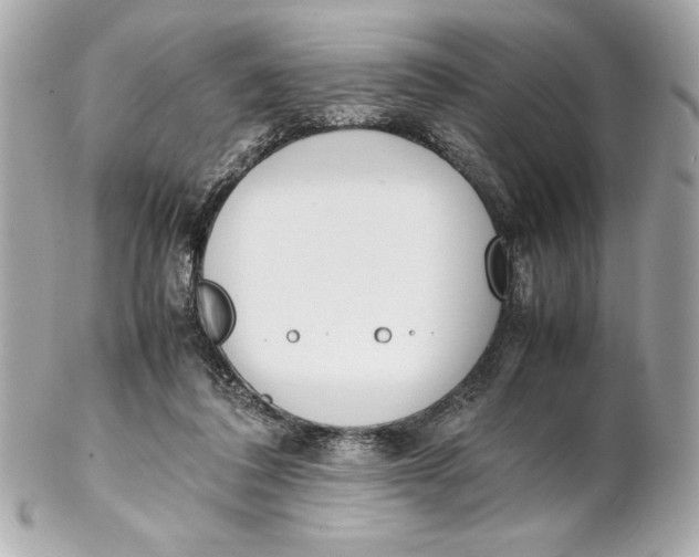 X0000102260308200808151847