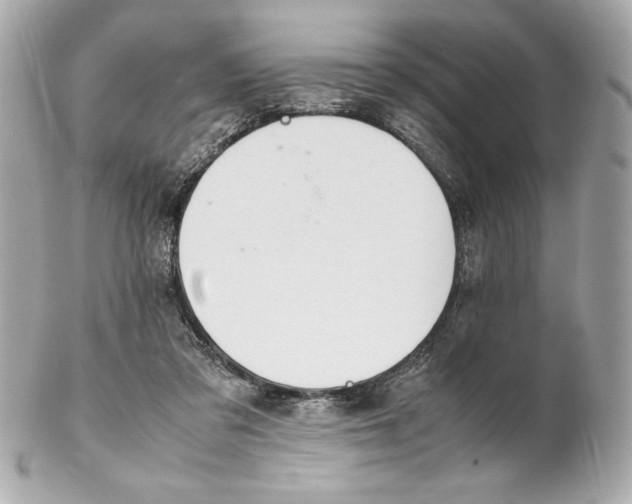 X0000102260309200808151847