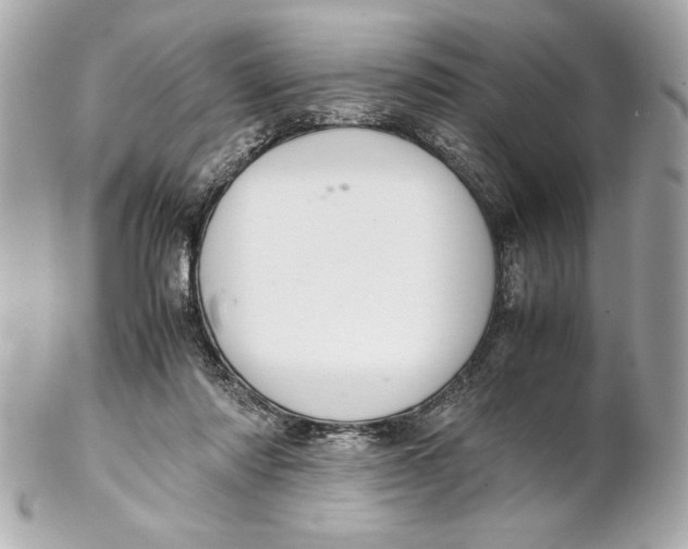 X0000102260310200808151847