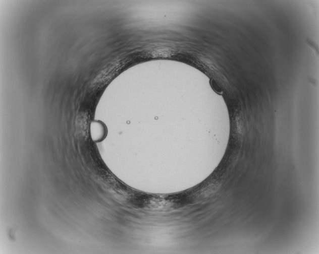X0000102260311200808151847