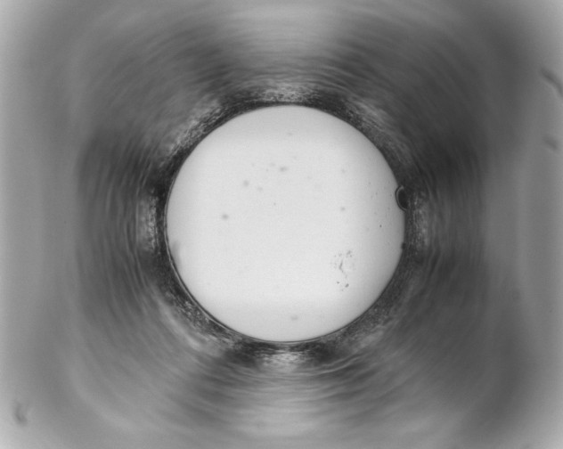 X0000102260312200808151847