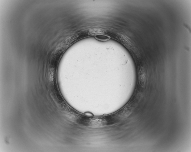 X0000102260315200808151847