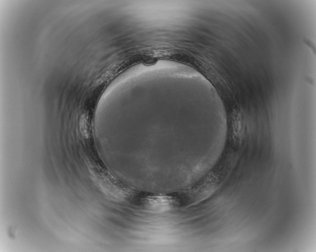 X0000102260316200808151847