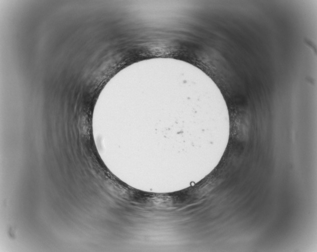 X0000102260317200808151847