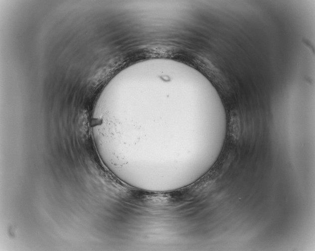 X0000102260318200808151847