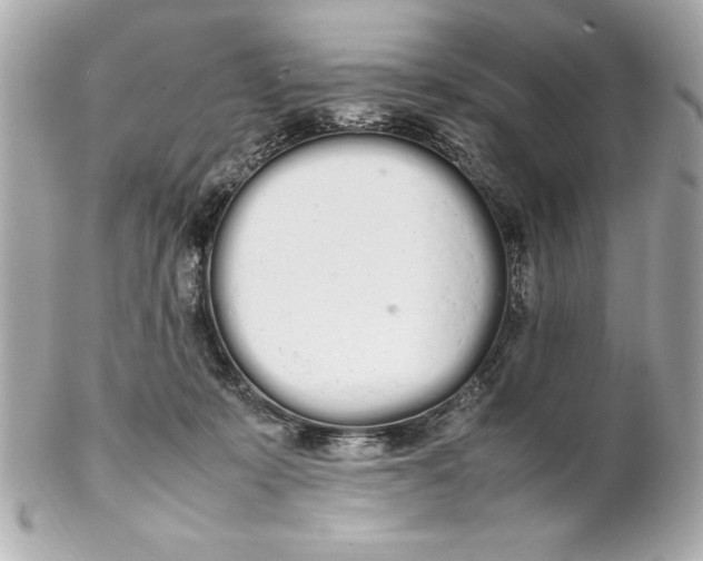X0000102260319200808151847