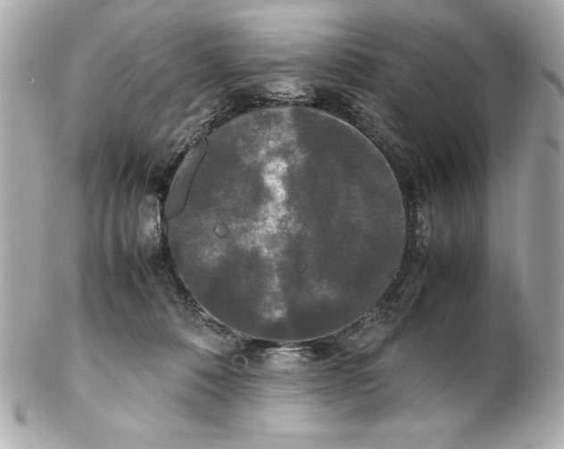 X0000102260320200808151847