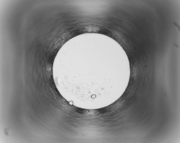 X0000102260321200808151847