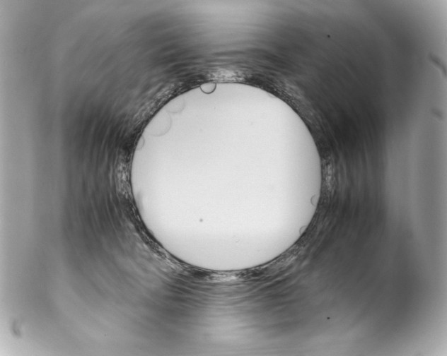 X0000102260322200808151847