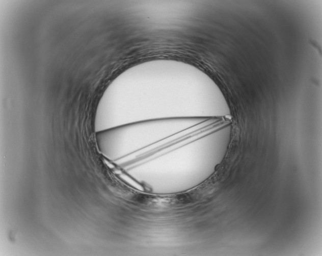X0000102260323200808151847