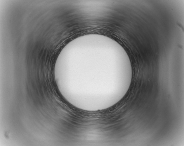 X0000102260324200808151847