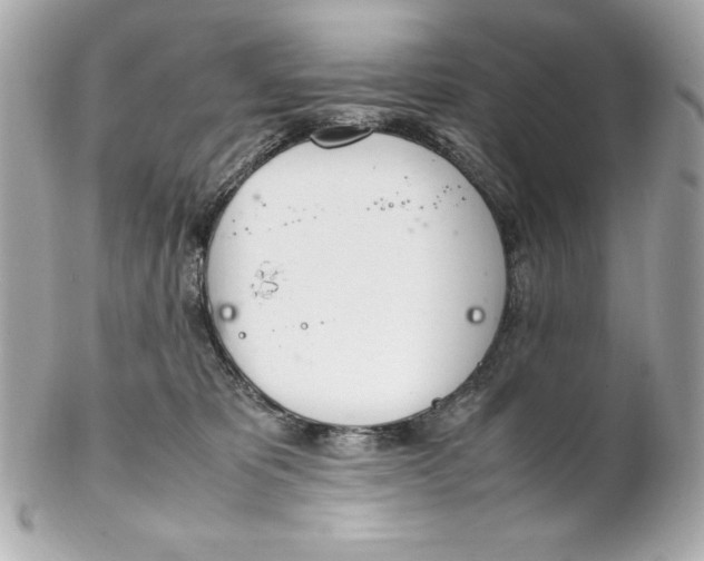 X0000102260325200808151846