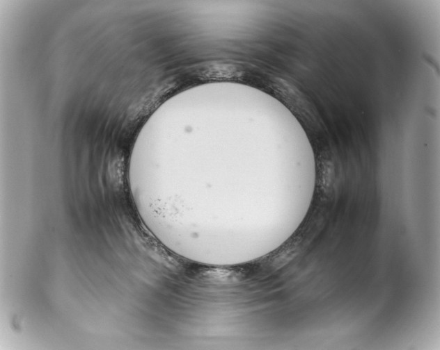 X0000102260326200808151846