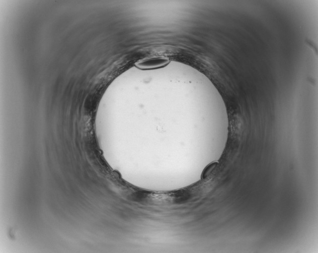 X0000102260327200808151846
