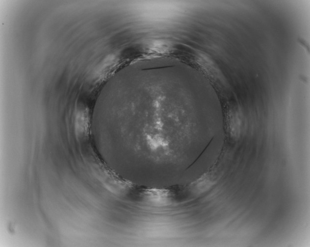 X0000102260328200808151846